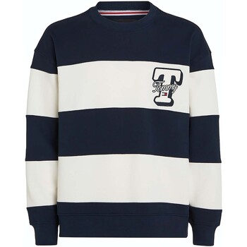 Textiel Heren Sweaters / Sweatshirts Tommy Jeans Tjm Rlx Cut & Sew Le Wit