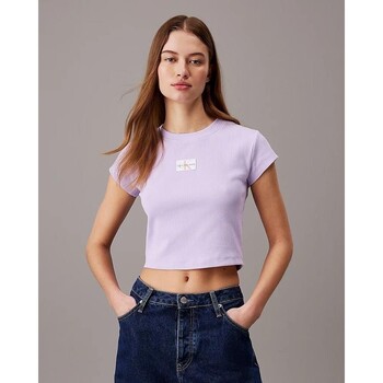 Textiel Dames T-shirts korte mouwen Calvin Klein Jeans J20J223552VFR Violet