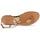 Schoenen Dames Slippers Roberto Cavalli XPX243-PZ220 Brown