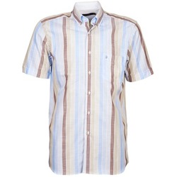 Textiel Heren Overhemden korte mouwen Pierre Cardin 539936240-130 Blauw / Beige / Brown