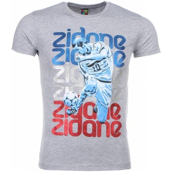 Textiel Heren T-shirts korte mouwen Local Fanatic Zidane Print Grijs