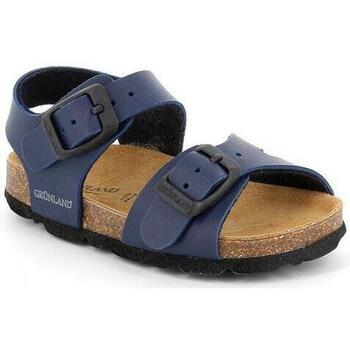 Schoenen Kinderen Sandalen / Open schoenen Grunland DSG-SB0027 Blauw