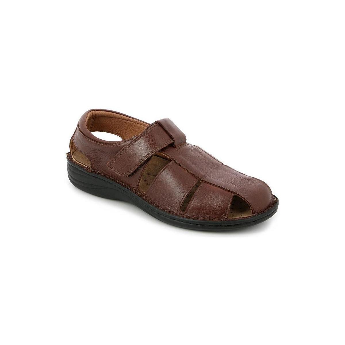 Schoenen Heren Sandalen / Open schoenen Grunland DSG-SE0015 Brown