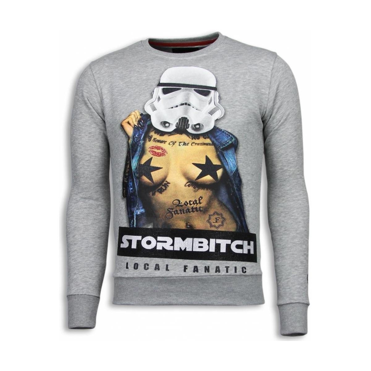 Textiel Heren Sweaters / Sweatshirts Local Fanatic Stormbitch Rhinestone Licht Grijs