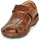 Schoenen Heren Sandalen / Open schoenen Pikolinos TARIFA 06J Brown
