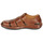 Schoenen Heren Sandalen / Open schoenen Pikolinos TARIFA 06J Brown