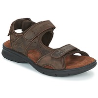 Schoenen Heren Sandalen / Open schoenen Panama Jack SALTON Brown