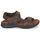 Schoenen Heren Sandalen / Open schoenen Panama Jack SALTON Brown