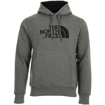 Textiel Heren Sweaters / Sweatshirts The North Face Drew Peak Pullover Hoodie Grijs