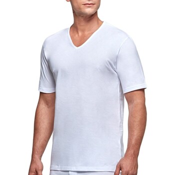 Textiel Heren T-shirts korte mouwen Impetus Essentials Wit