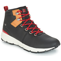 Schoenen Heren Lage sneakers DC Shoes MUIRLAND LX M BOOT XKCK Zwart / Rood