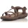 Schoenen Dames Sandalen / Open schoenen Skechers BASKETS  40955 Brown