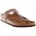 Schoenen Dames Sandalen / Open schoenen Birkenstock Gizeh Brown