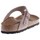 Schoenen Dames Sandalen / Open schoenen Birkenstock Gizeh Brown