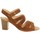 Schoenen Dames Sandalen / Open schoenen Clarks SPICED AVA Brown