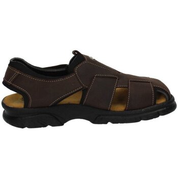 Schoenen Heren Sandalen / Open schoenen Baerchi  Brown